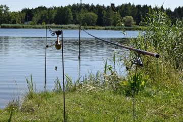 Fototapeta na wymiar Natural landscape of Belarus, Russia and Baltics. Summer, day, river. Fishing rods are established. Trees and grass grow along the river bank.
