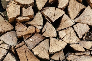 Close-up of dried wood for burning bonfire. Background of dry chopped wood folded for the fireplace. A pile of firewood for heating a house.