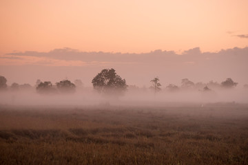 THAILAND PHITSANULOK LANDSCAPE