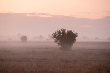 THAILAND PHITSANULOK LANDSCAPE