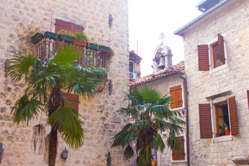Quiet streets and beautiful design of houses