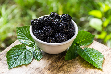 Fresh organic blackberry in white bowl. Useful summer berries.