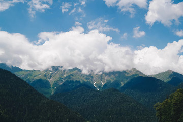 Fototapeta premium Beautiful mountains in the clouds. Forests and mountain peaks
