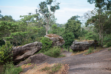 THAILAND PHITSANULOK NATIONAL PARK