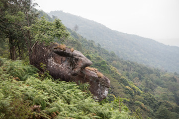 THAILAND PHITSANULOK NATIONAL PARK