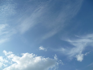 Fototapeta premium a white cloud flying along the blue sky
