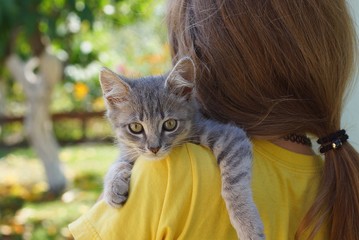 little gray kitten lies on the shoulder of a girl in yellow clothes