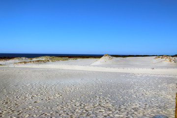 Slowinski National Park is situated on the Baltic Sea coast, near Leba, Poland. Desert landscape...