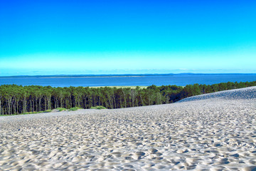 Slowinski National Park is situated on the Baltic Sea coast, near Leba, Poland. Desert landscape...