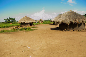 Fototapeta na wymiar African Huts