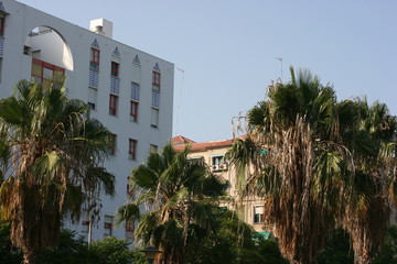  Mediterranean city on the Costa del Sol