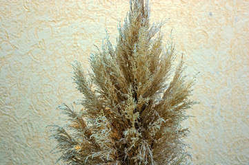 grunge floral background