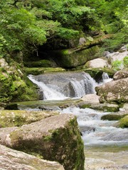 Fototapeta na wymiar Little Waterfall