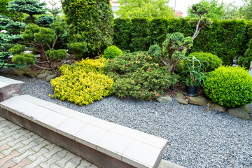 evergreens with gravel in the decoration of the flowerbed in landscaping