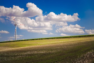 Farmlands and Wind Turbine