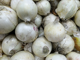 Lots of Onions on Display ready for recipe or cooking in kitchen
