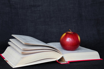Back to school concept banner. Red apple on the open pages book. Copy space text.