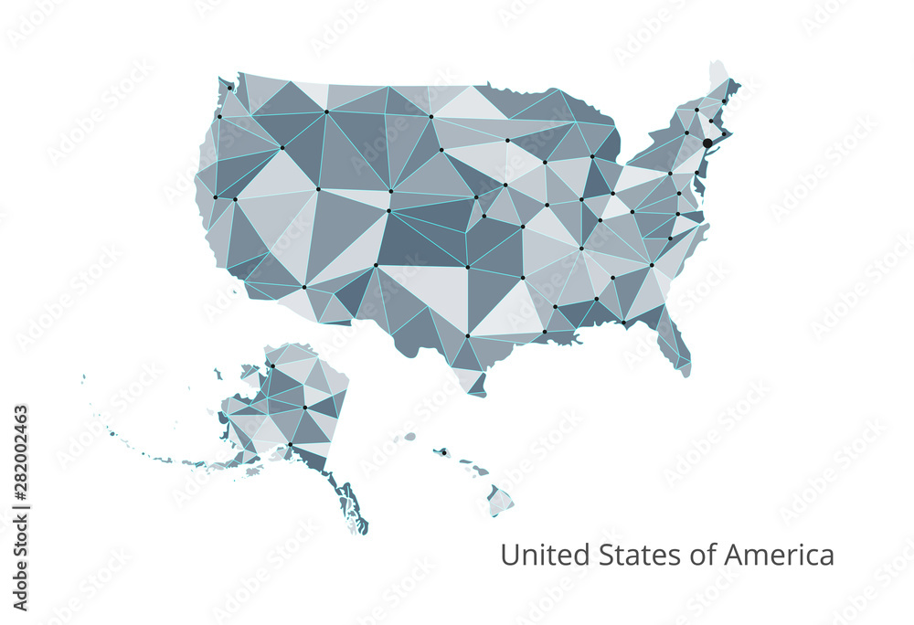 Poster the map of the network of the united states of america. vector low-poly image of a global map with l