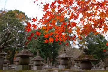 Autumn leaves in Heirinji temple precincts forest