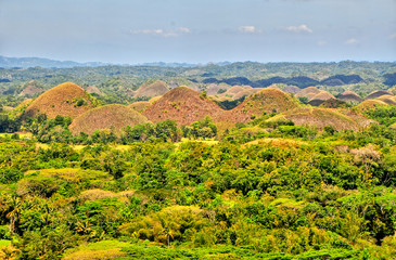 Fototapeta na wymiar The Chocolate Hills - geological formation in the Bohol province of the Philippines.