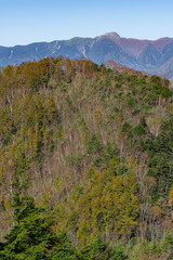 半月山の登りの登山道から見た日光白根山