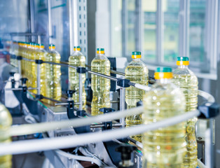 Bottling line of sunflower oil in bottles. Vegetable oil production plant. High technology.