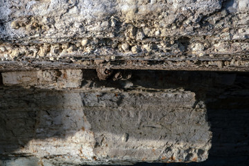 Bird nests are well hidden under the ledges of rock wall cliffs at the lake in Oklahoma. Bokeh.