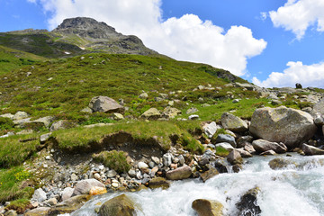 Die rechtsrheinische Ill in Silvretta-Vorarlberg 
