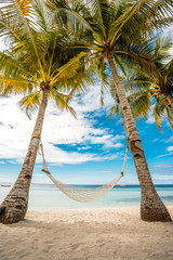 hammock between palms trees. cloudy sky, ocean
