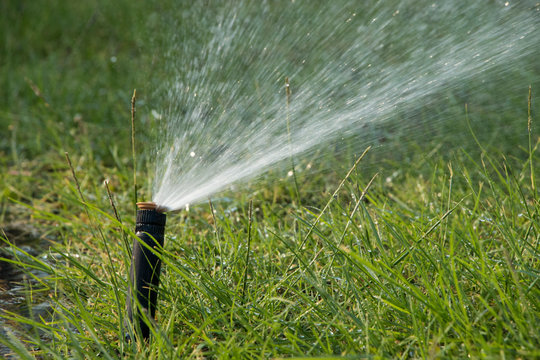 Sistema de pulverizaci&oacute;n de riego autom&aacute;tico de jardines, trabajos de jardiner&iacute;a