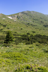 Fototapeta premium landscape from hiking trail to Belmeken Peak, Rila mountain