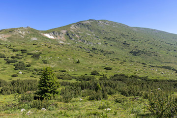 landscape from hiking trail to Belmeken Peak, Rila mountain