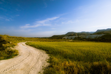 Fototapeta premium 草原へ続く道