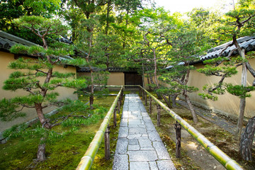 大徳寺　高桐院