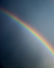 Fototapeta premium Arco iris 