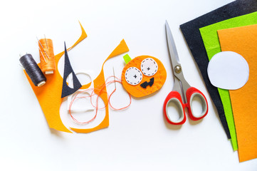 Workshop pumpkin halloween handmade felt. Materials for embroidery and diy.