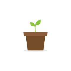 Green environment concept, plant, pot, flat design vector illustration