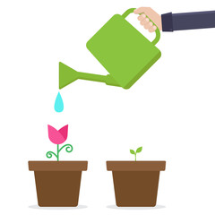 Green environment concept, watering flower in pot, flat design vector illustration