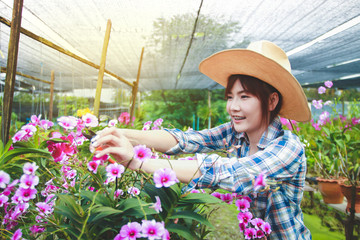 Asian girl, orchid farm owner wearing a hat She is pruning