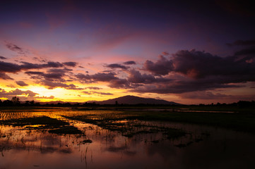 Fototapeta na wymiar Beautiful rice field landscape of farmers in rural Chiang Mai, Thailand in the evening