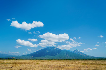 Fototapeta na wymiar Dry savanna with Mount Baluran background