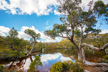 Nature landscape in Cradle mountain national park in Tasmania, Australia.