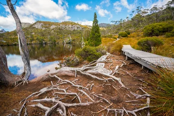 Wall murals Cradle Mountain Nature landscape in Cradle mountain national park in Tasmania, Australia.