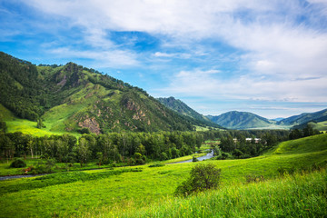 Naklejka premium Myuta the village and the river Sema. Altai Republic, South Siberia, Russia