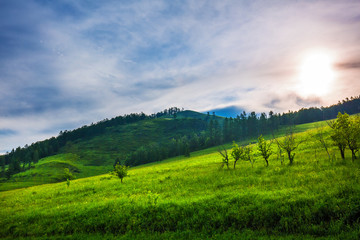 View of the Altai mountains. Gorny Altai, Russia