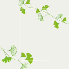 Green ginkgo leaves frame illustration