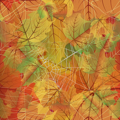 Autumn seamless background with spiderweb, vector illustration