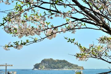 うみかぜ公園　猿島　横須賀市平成町の風景　日本