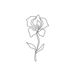 Flower continuous line drawing, tattoo, print for clothes and logo design, beautiful blooming flower silhouette single line on a white background, isolated vector illustration.