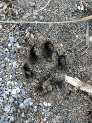 Foot print in the sane